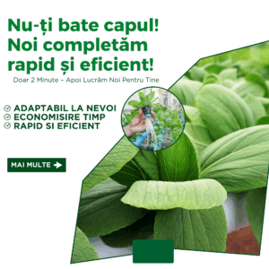 Comandă Serviciu 1